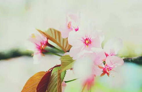 1435224577285710.png QQ截图20150625172900.png