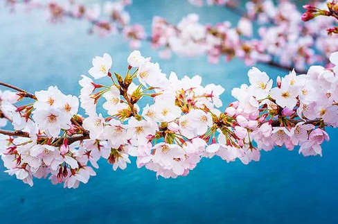 1435224586400586.png QQ截图20150625172907.png