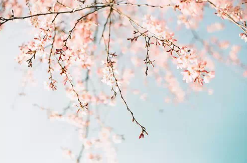 1435224592452051.png QQ截图20150625172913.png