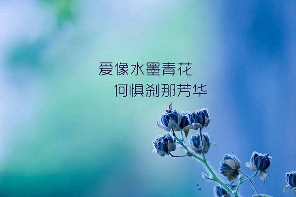 1441005687386629.jpg 图片283.jpg