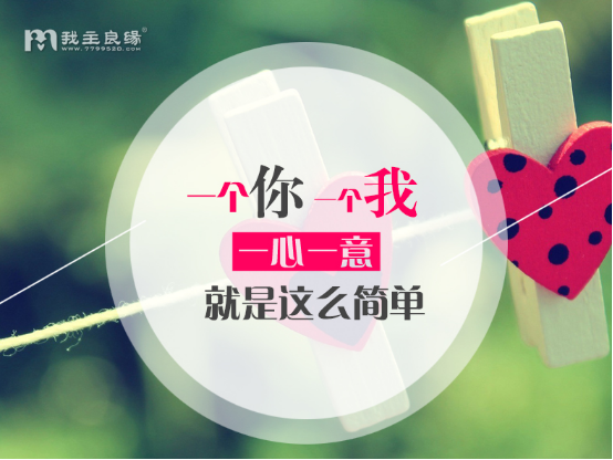 相亲有好男人吗 相亲有好男人吗