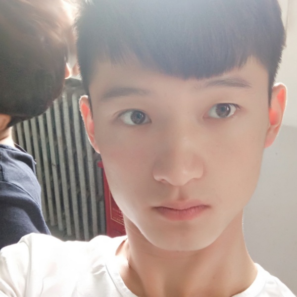 石头贤惠的照片