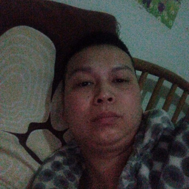 绵密龙猫的照片