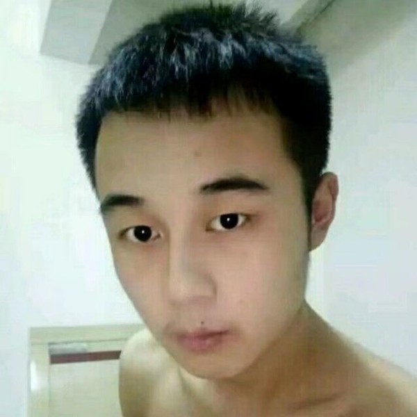 淘气的猫的照片