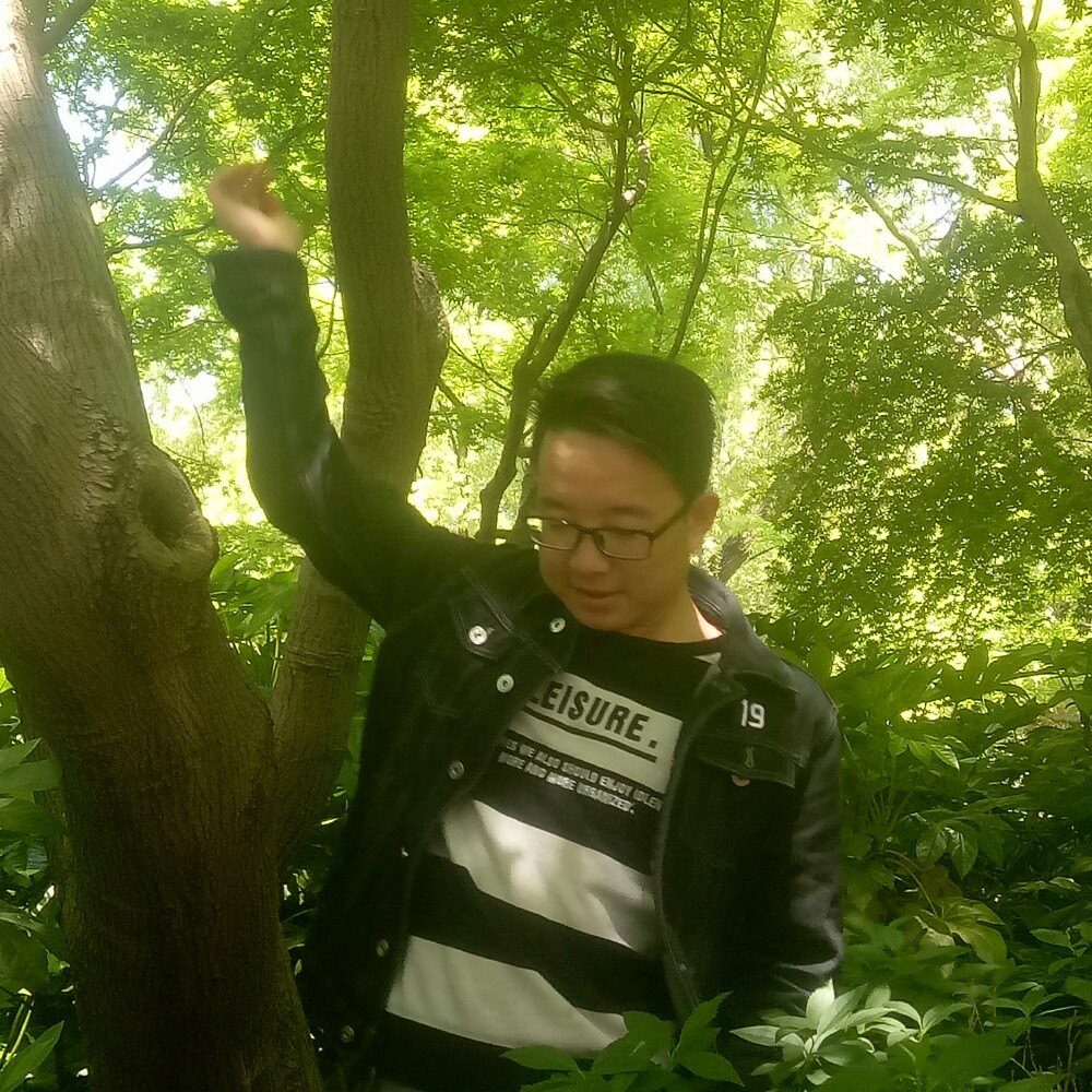金毛冷傲的照片