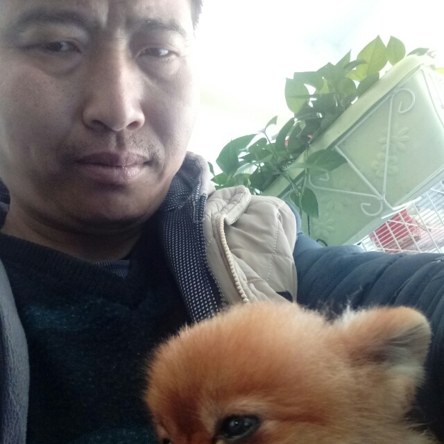 会说话的哑巴61的照片
