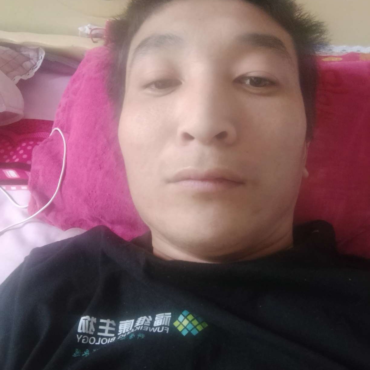 大黄蜂啊的照片