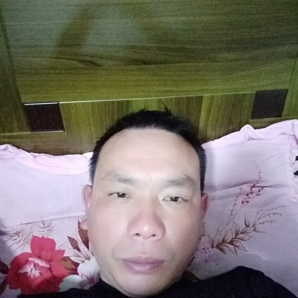 要减肥清曲的照片