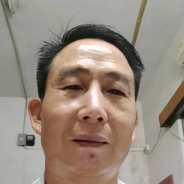 大树和美满的照片