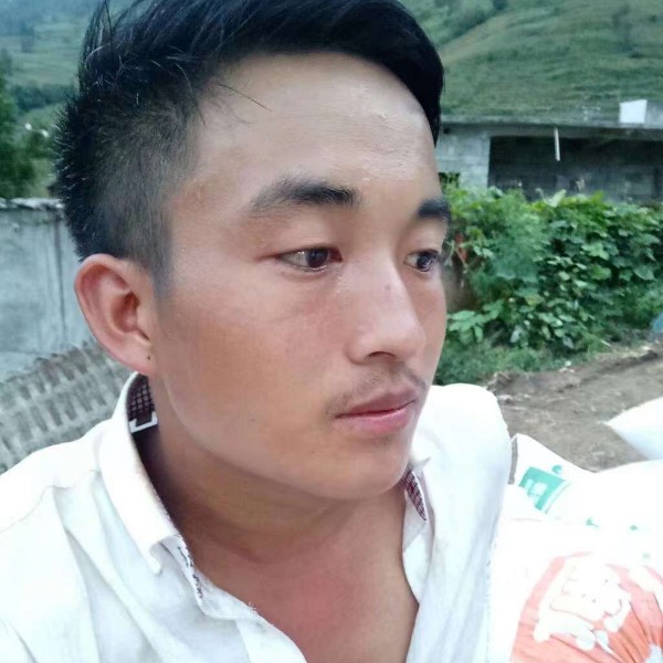 树叶苦恋激情的照片