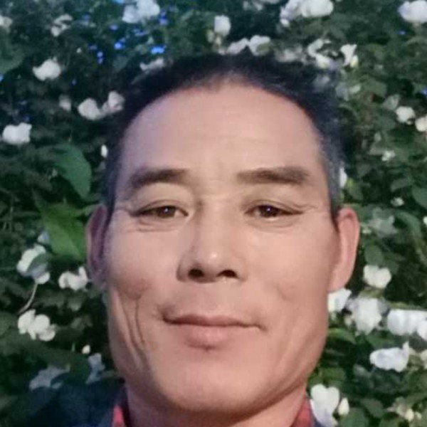 还在教省哈尔滨的照片