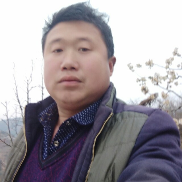 谈一场永不分手的的照片