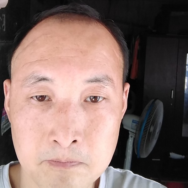 自由回首的照片