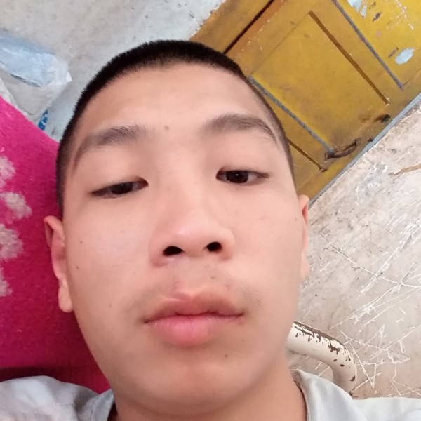 贺禁的照片
