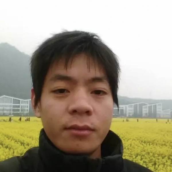 树叶請透彻的照片
