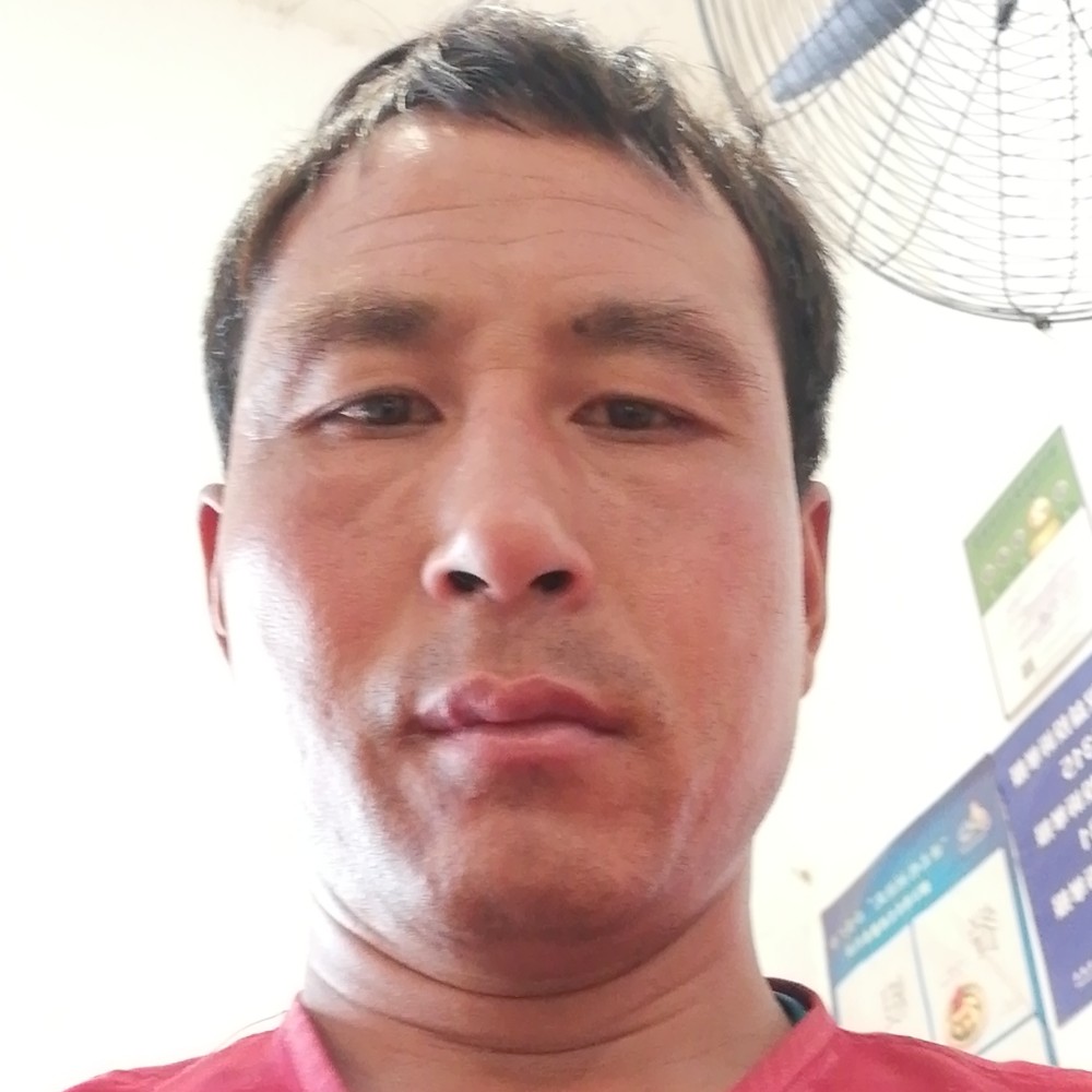 今生找个伴的照片