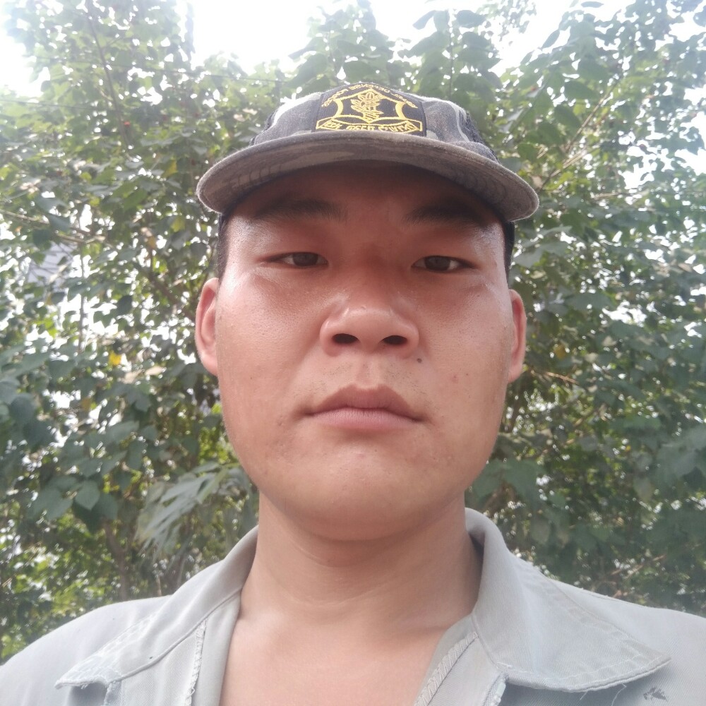 超帅猎豹的照片
