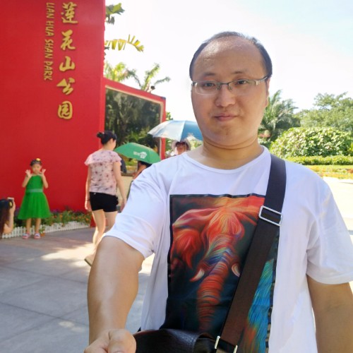 南飞鹰的照片