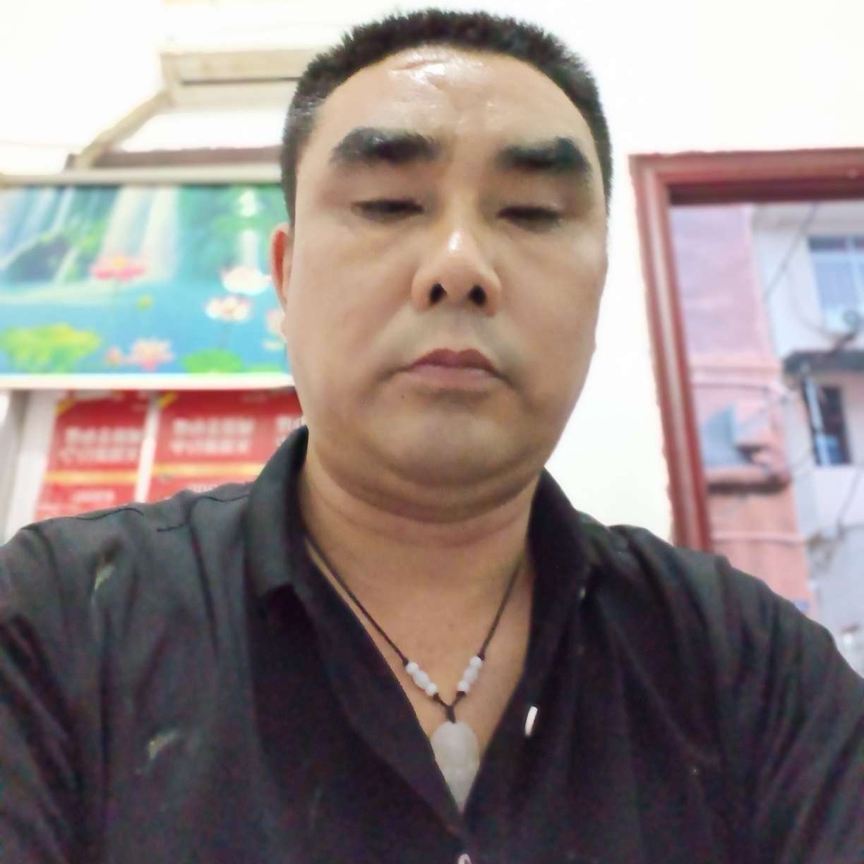 猫咪踢忧伤的照片