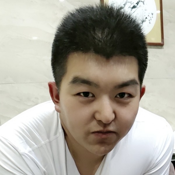 纯情扯斑马的照片