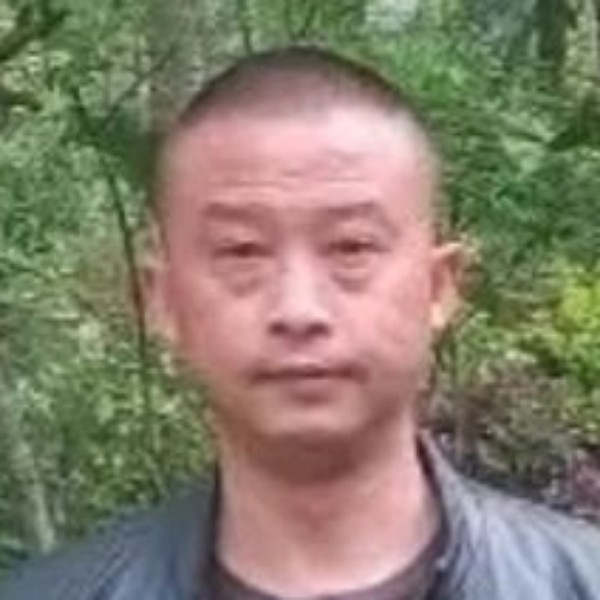 伤心狼的照片