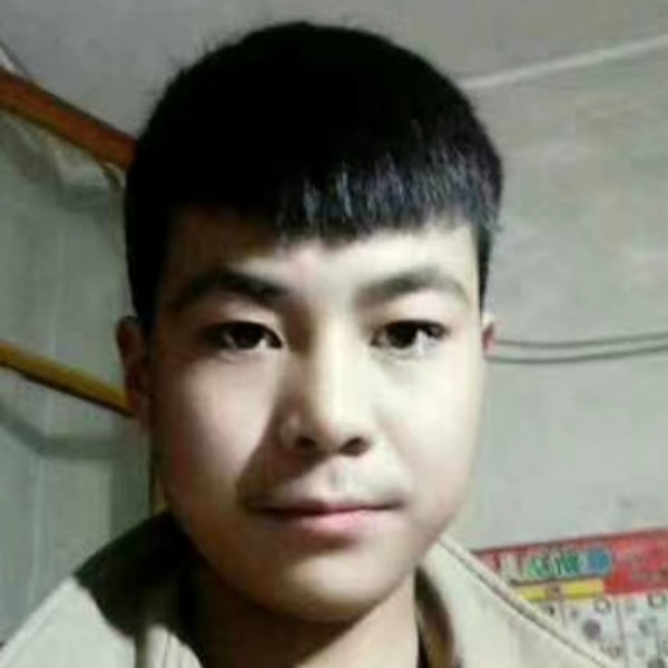 蛋挞眼睛大的照片