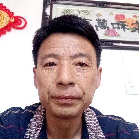 兮颜标致狼的照片