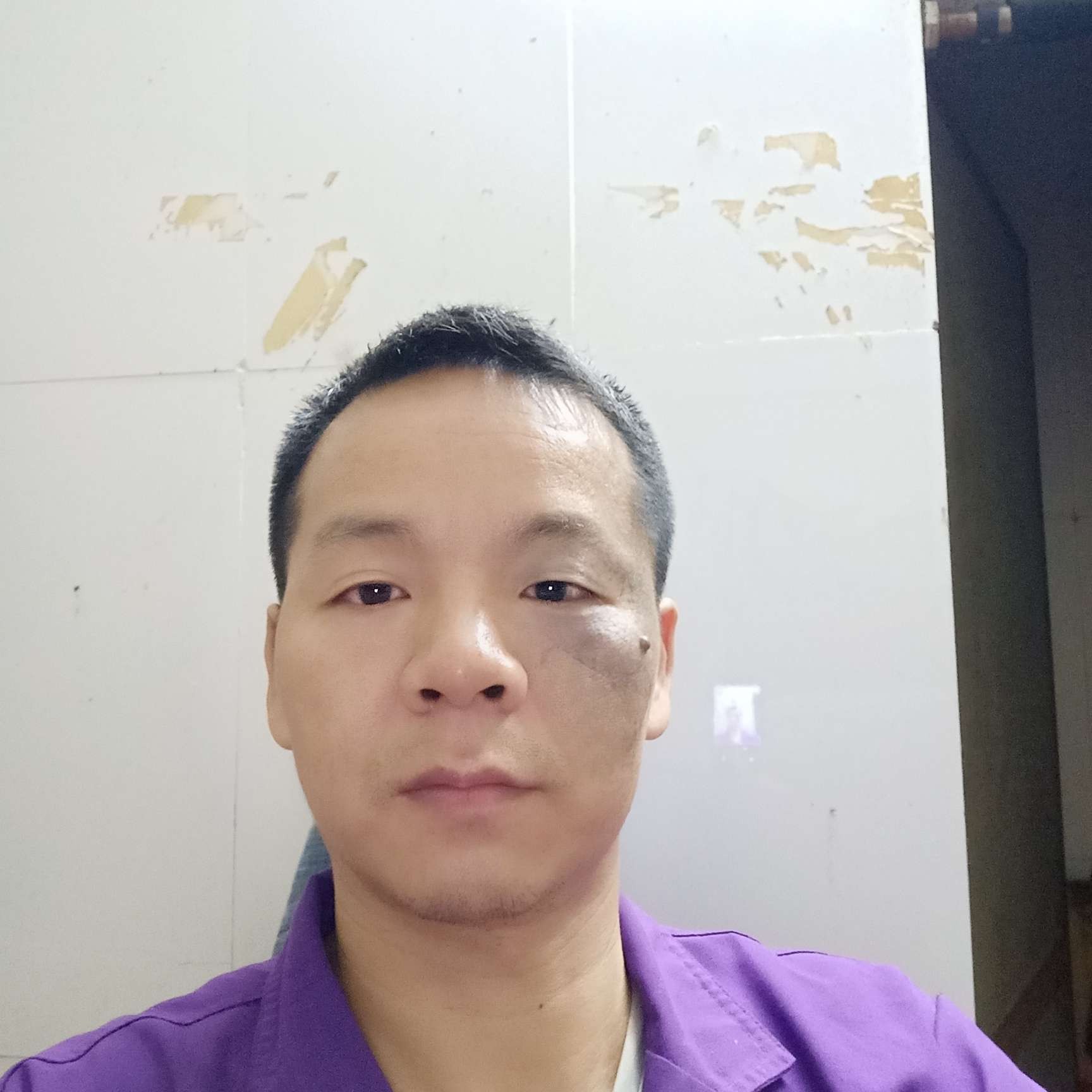 黄蜂与暴躁的照片