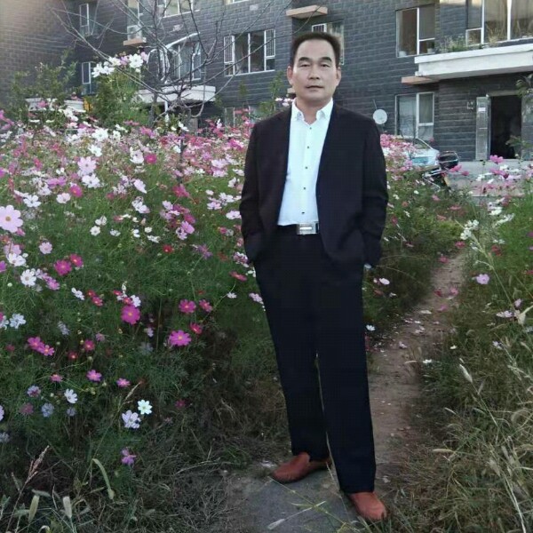 怕孤单回首树叶的照片