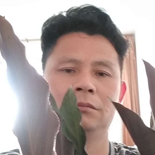 稳重白羊的照片
