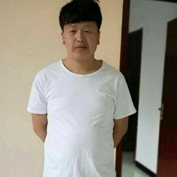 激昂树叶的照片