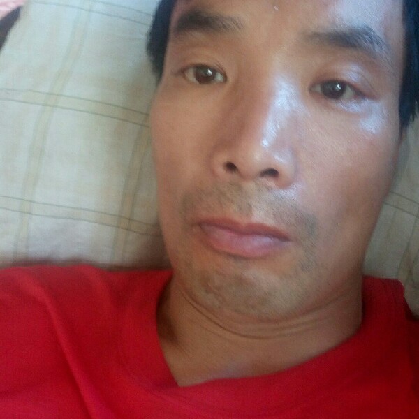 有魅力爱恋小鸽子的照片