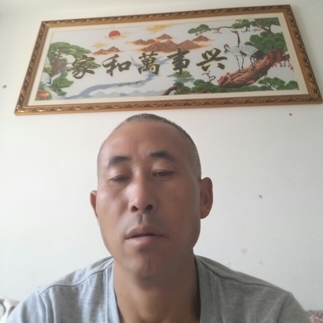 风趣自行车的照片