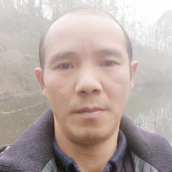 黄狼的照片
