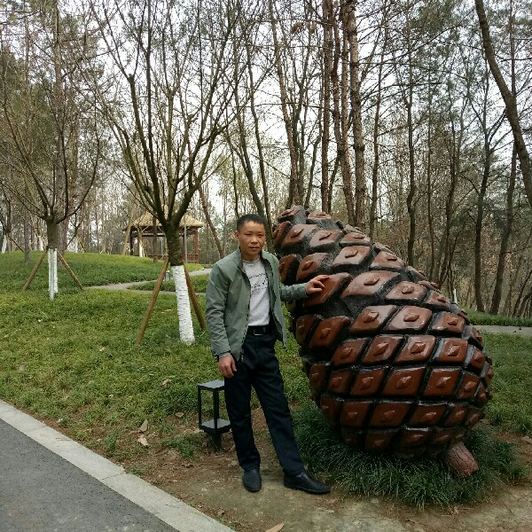 怎么会这样的照片