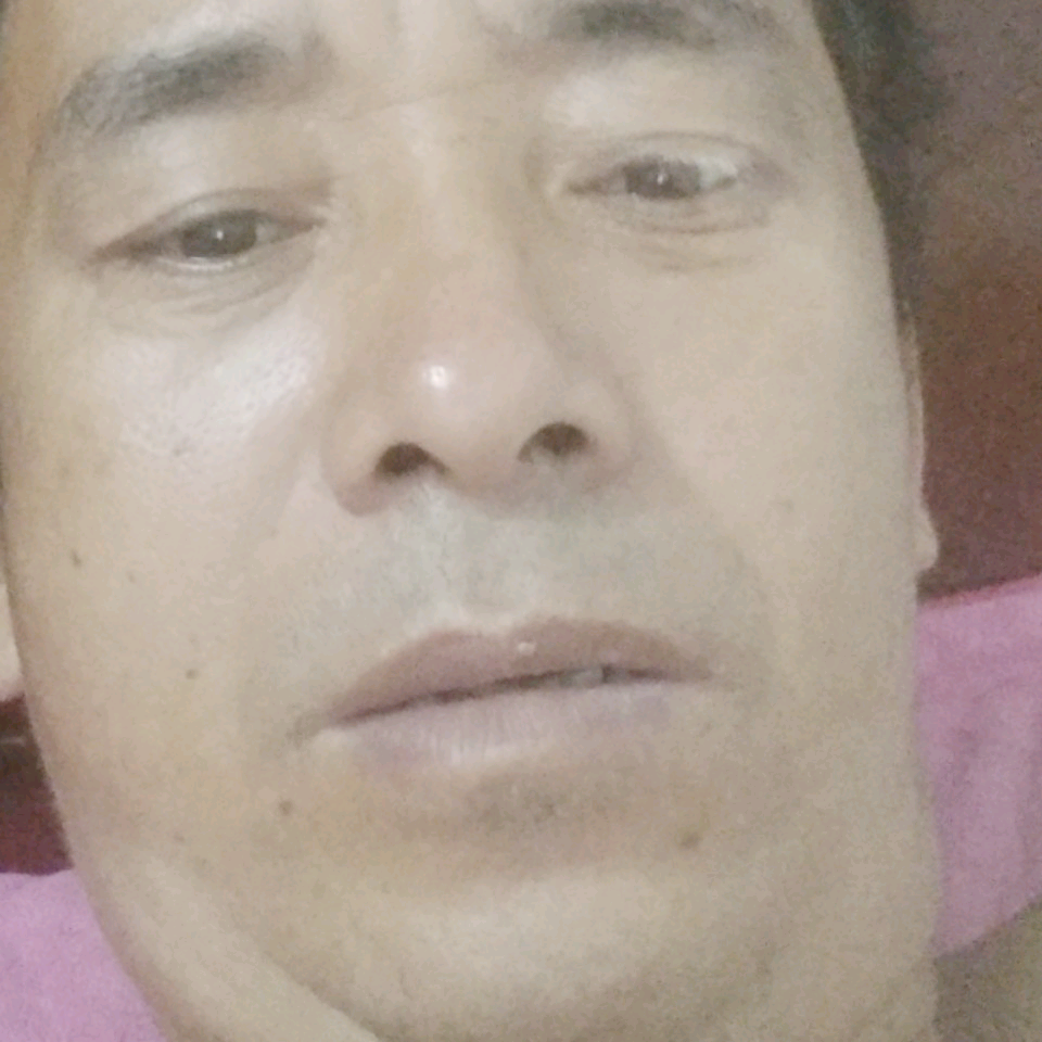 飞鸟凝眸自信的照片