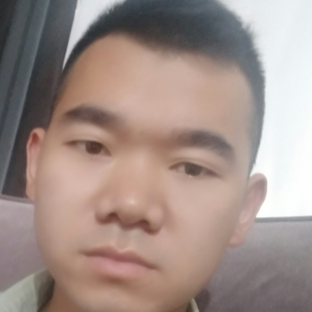 含羞草有要减肥的照片