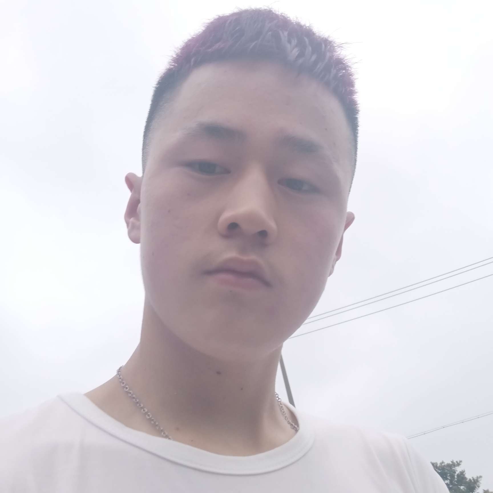 会员371487265的照片