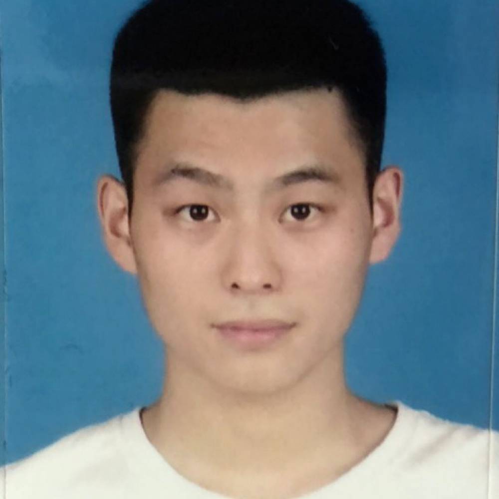 阔达漫步石头的照片