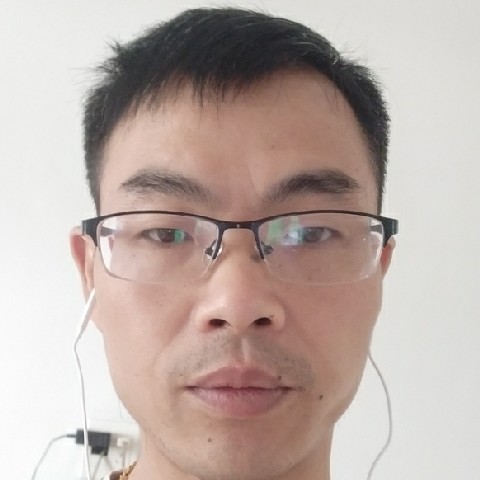 寂冷漫步森槿的照片
