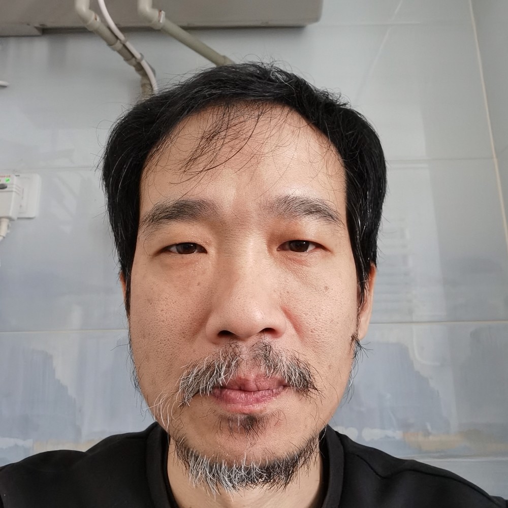 瘦瘦的蚂蚁的照片