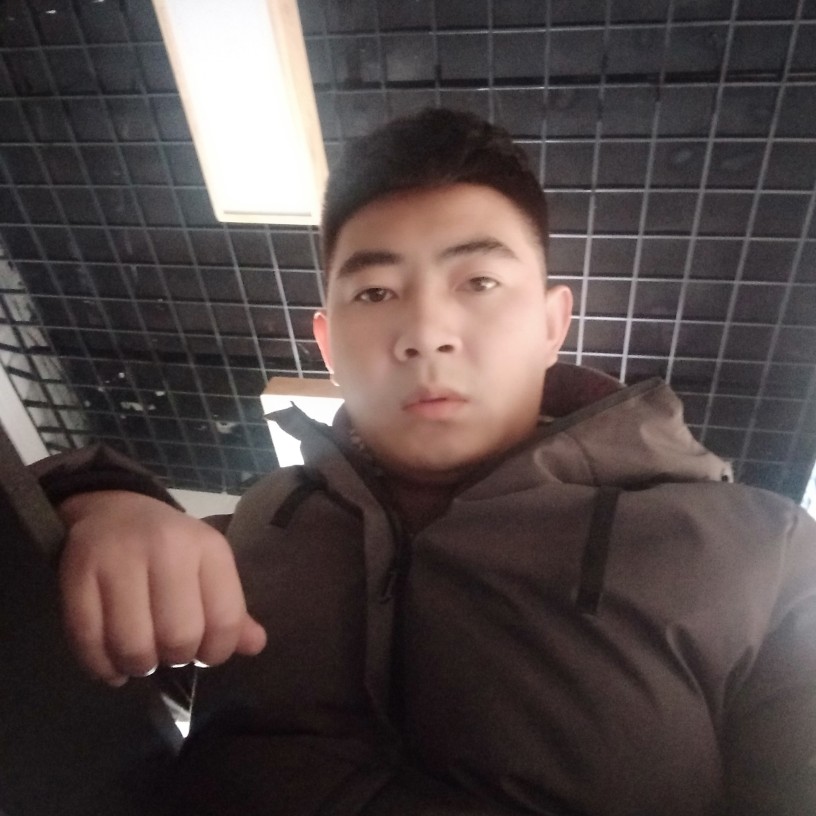 懦弱斑马的照片