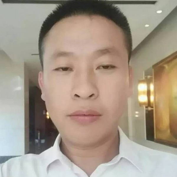 蚂蚁优美的照片