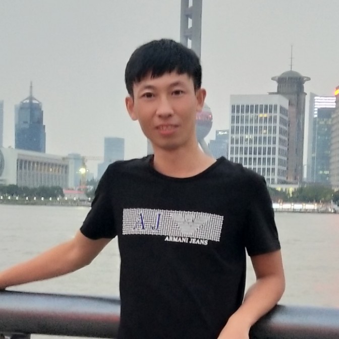 乌龟沉静的照片