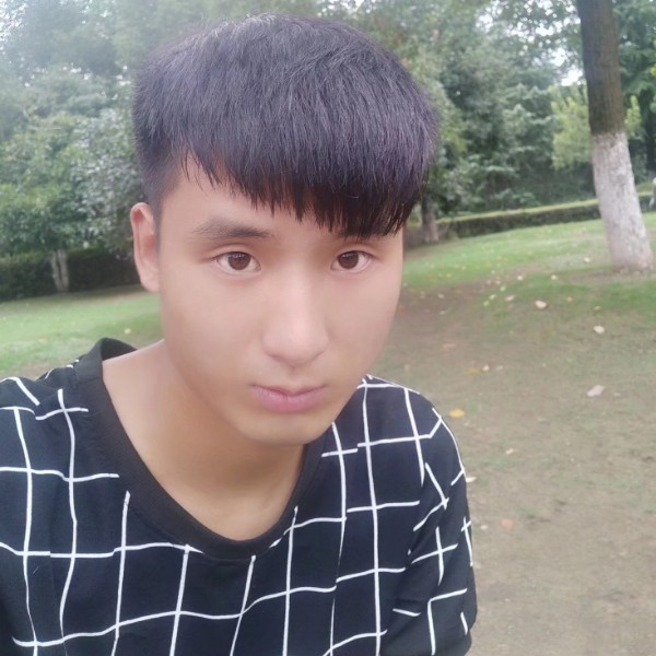 羽毛漫步坦率的照片