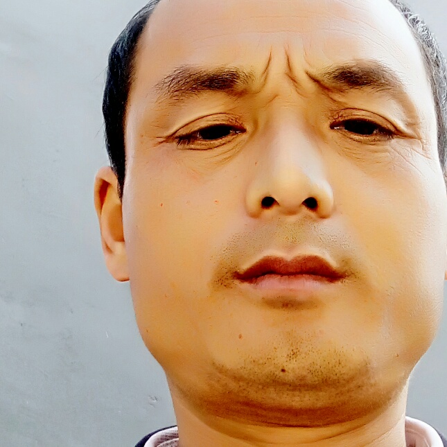 黑猫如意的照片