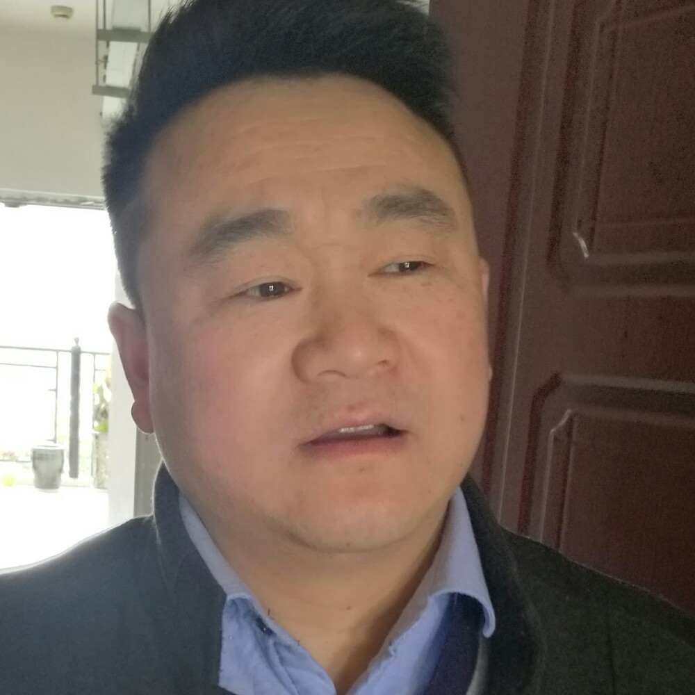淡定树叶的照片