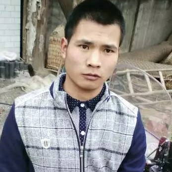 小刺猬深拥隐忍的照片