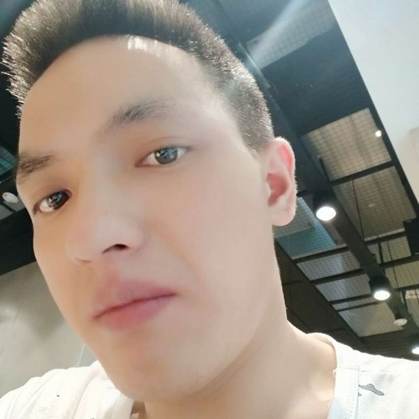 单纯爱玫瑰的照片