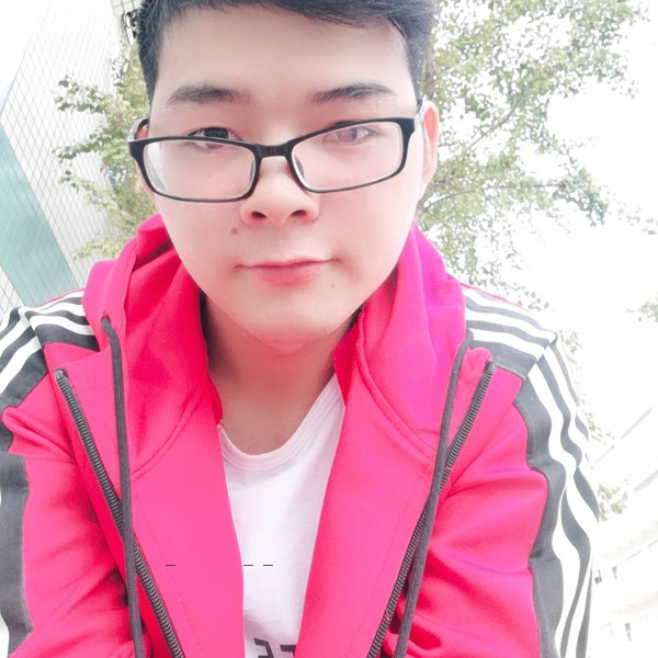 小海豚踢帅气的照片